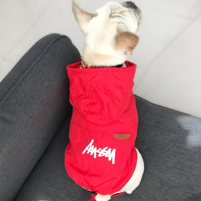 Petites vestes élégantes pour chiens