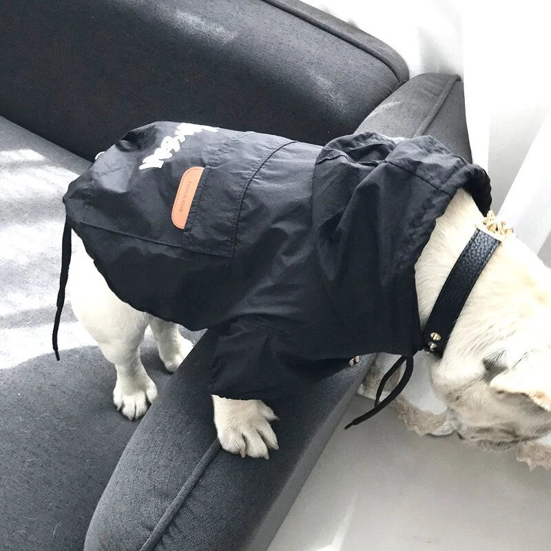 Petites vestes élégantes pour chiens