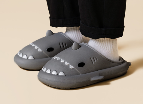 Toboggans de requin confortables