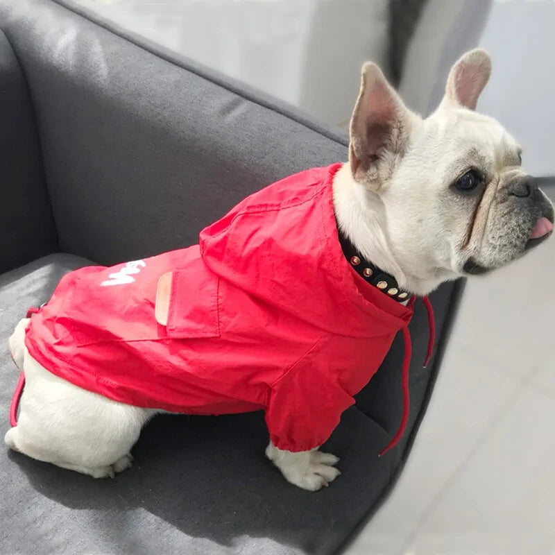 Petites vestes élégantes pour chiens