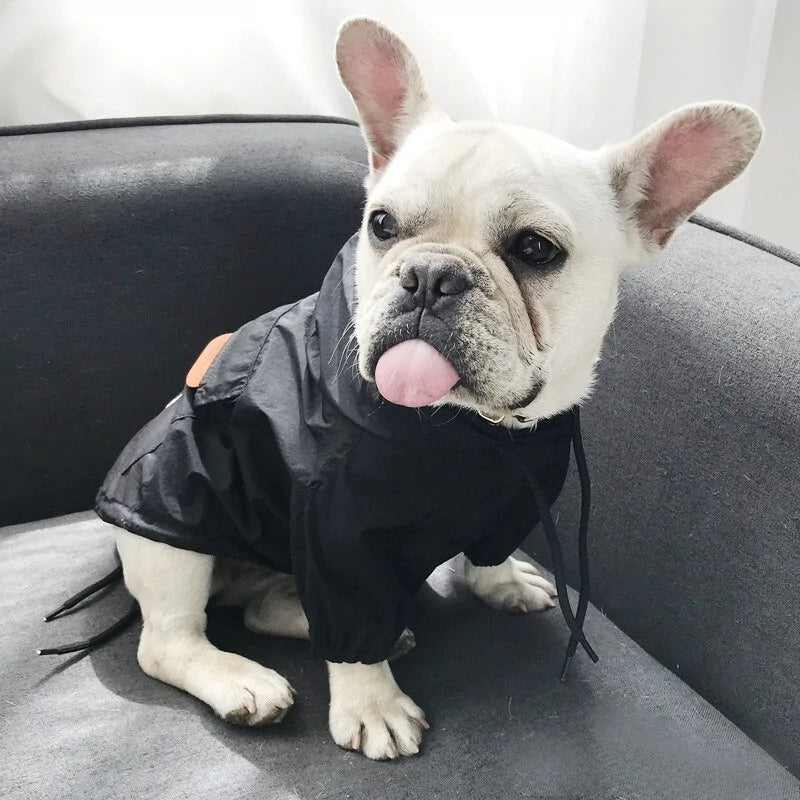 Petites vestes élégantes pour chiens