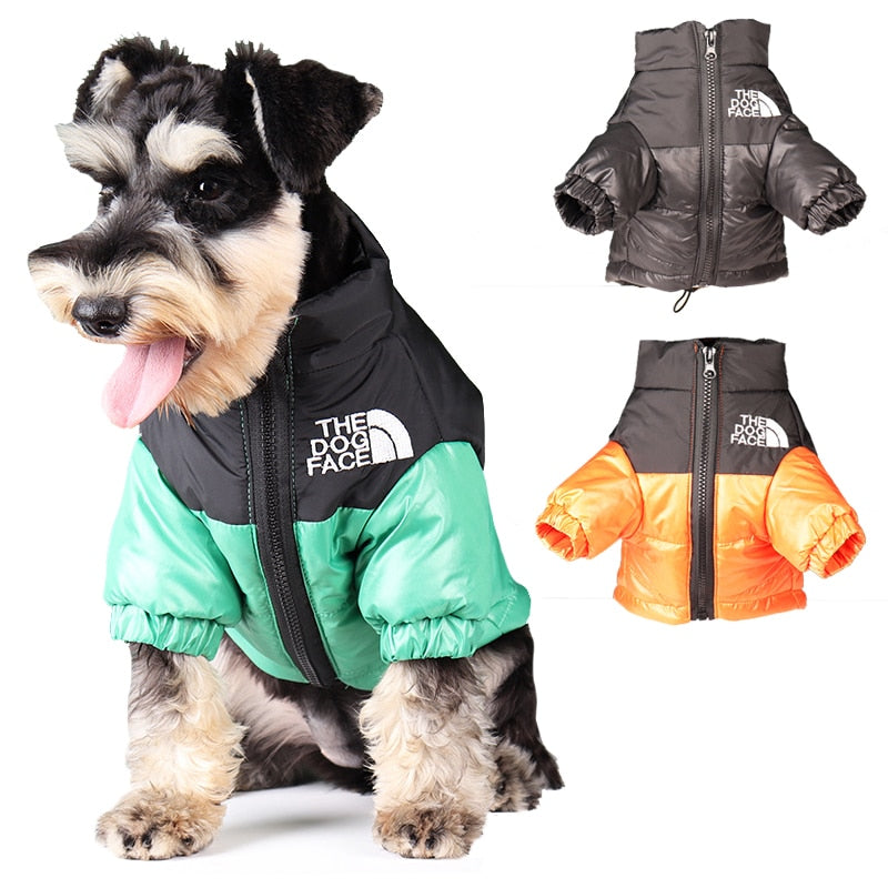 Vêtements chauds et coupe-vent pour chiens d'hiver