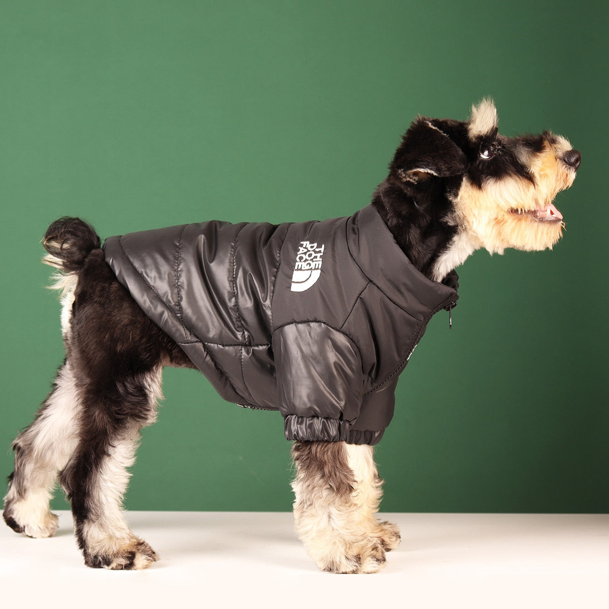 Vêtements chauds et coupe-vent pour chiens d'hiver