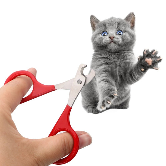 Coupe-ongles pour chat