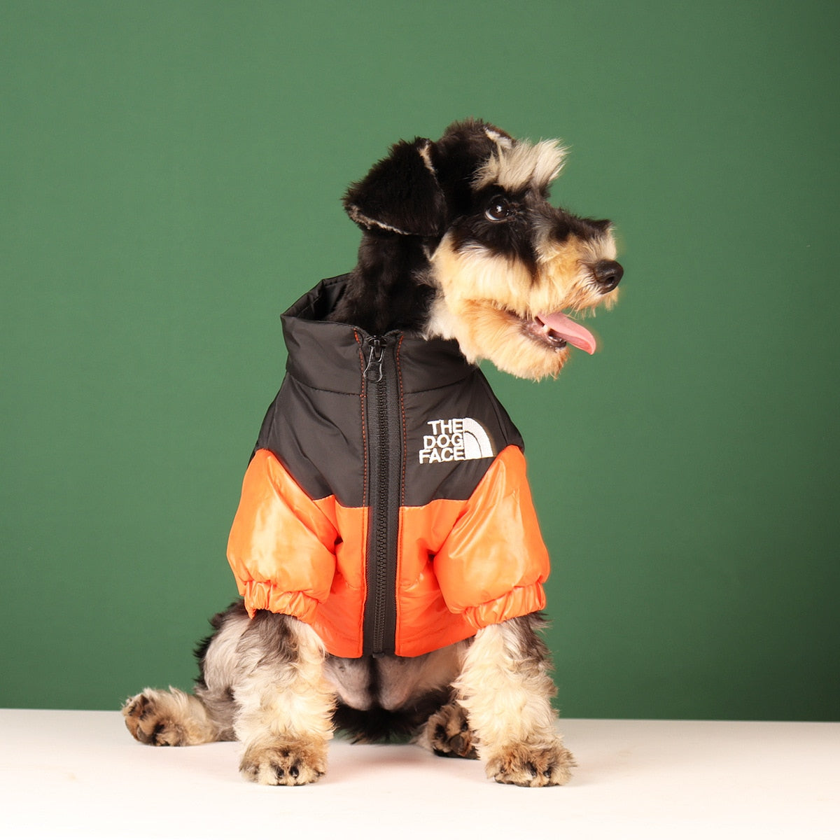 Vêtements chauds et coupe-vent pour chiens d'hiver