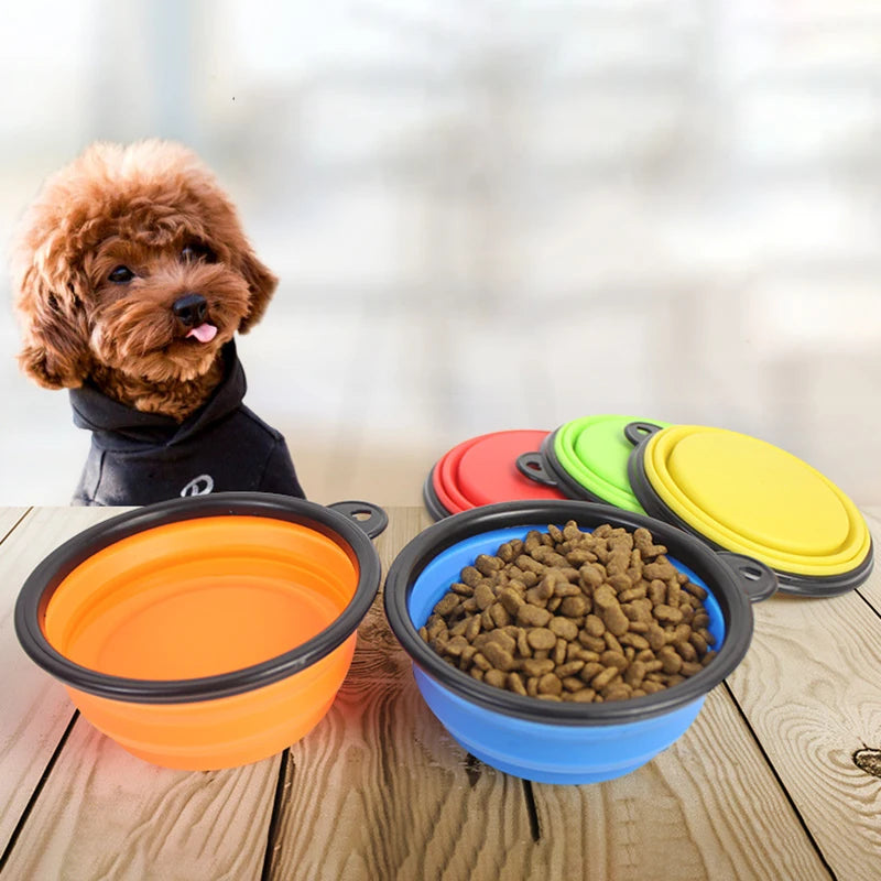 Bol pliable en silicone pour animaux de compagnie